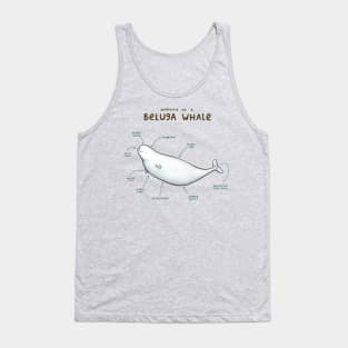 Anatomy of a Beluga Whale Tank Top